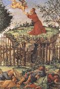 Sandro Botticelli prayer in the Garden (mk36) oil
